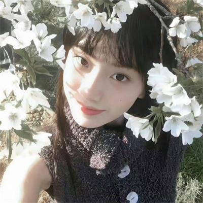 鲅鱼恋上猫